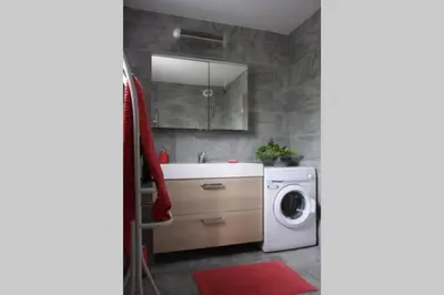 Salle de bains dans l'établissement Maison individuelle avec terrasse proche de Bâle
