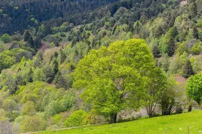 Paysage naturel près de l'appartement