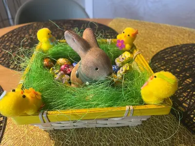 Animaux dans l'appartement ou à proximité