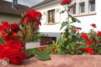 Jardin de l'établissement Colmar Room,chambre privée chez l'habitant,parking voiture devant la maison,garage moto et vélo