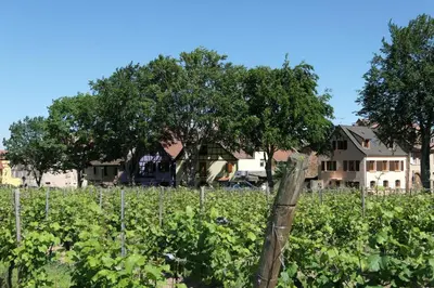 Jardin de l'établissement Au Petit Paradis