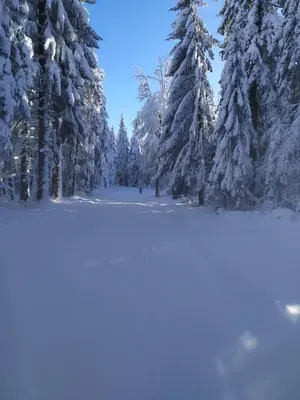 L'établissement chambre double en hiver