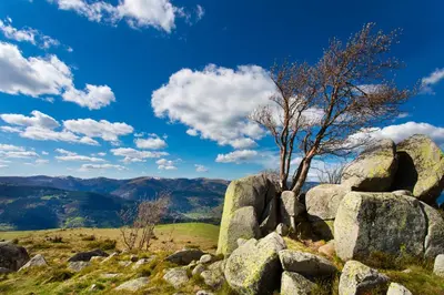 Paysage naturel près de la maison de vacances