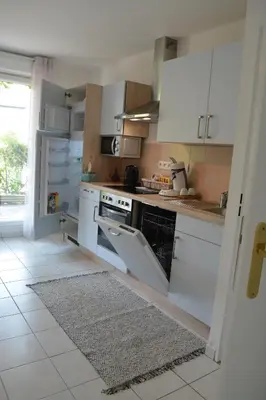 Cuisine ou kitchenette dans l'établissement Spacious Flat Garden&Parking 5min Basel Tram Bus Airport