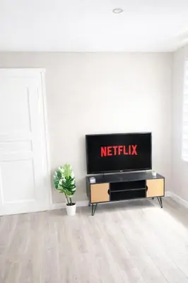 Télévision ou salle de divertissement dans l'établissement COSY LIVING