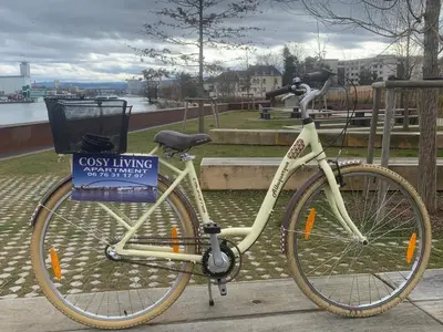 Vélo sur le terrain de l'établissement COSY LIVING ou dans les environs