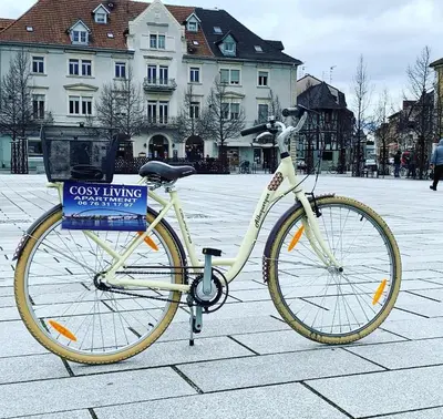 Vélo sur le terrain de l'établissement COSY LIVING ou dans les environs
