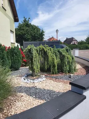 Jardin de l'établissement Sunny Suite by Leslodgespa - Studio moderne et coloré, proche de Bâle et de l'aéroport