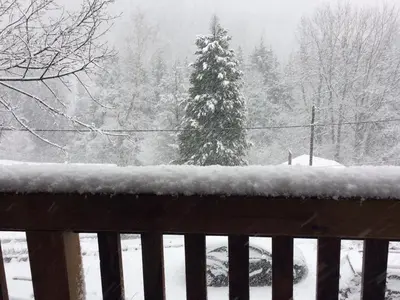 L'établissement Gîte le Pieraline en hiver