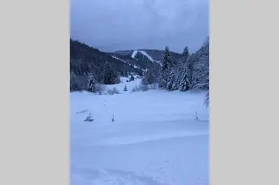 L'établissement Bel appartement neuf équipé au pied des pistes du HONHECK en hiver
