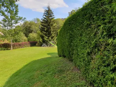 Jardin de l'établissement LE BOIS JOLI Chalet 4 étoiles CLEDICIHOME Cadre paisible en lisière de forêt