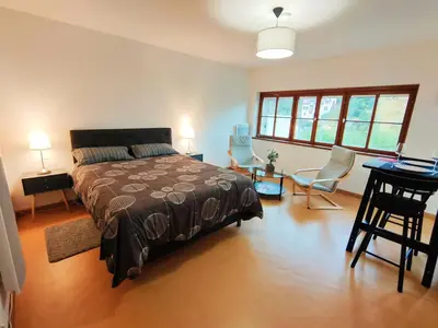 Un ou plusieurs lits dans un hébergement de l'établissement Lumineux Appartement Free Parking Nature Ville tt équipé