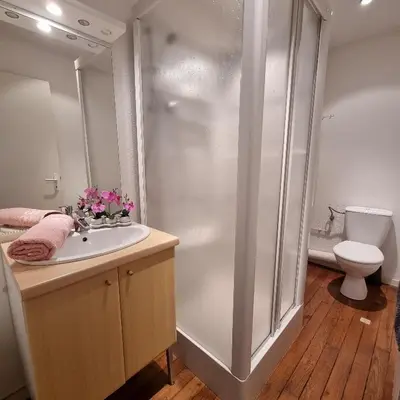 Salle de bains dans l'établissement Gite Myrtille 2 à 6 personnes avec SPA et salle de jeux dans la Residence