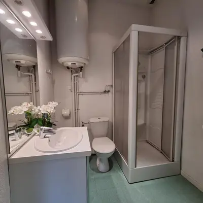 Salle de bains dans l'établissement Gîte Myosotis, studio 2 personnes, avec salle de jeux et SPA dans la résidence