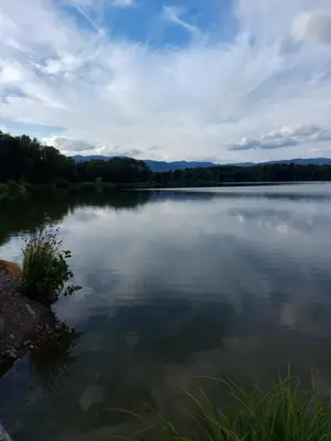 Paysage naturel près de l'appartement