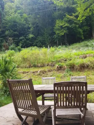 Jardin de l'établissement Appartement cosy calme à l'orée du bois