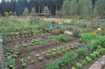 Jardin de l'établissement 