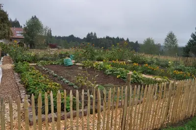 Jardin de l'établissement 