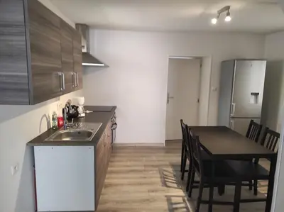 Cuisine ou kitchenette dans l'établissement wintzenheim: appartement