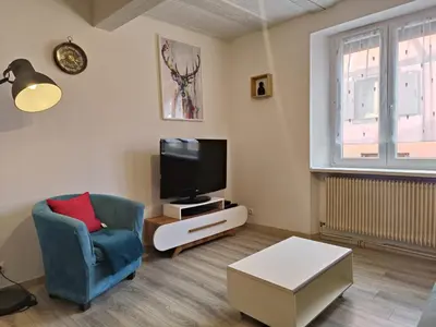 Télévision ou salle de divertissement dans l'établissement wintzenheim: appartement