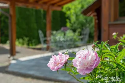 Jardin de l'établissement Chalet La Calougeotte, jardin, spa et sauna privés