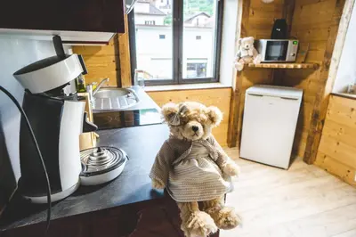 Animal ou animaux domestique(s) séjournant avec des clients dans l'établissement le chale heureux