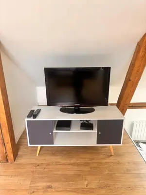 Télévision ou salle de divertissement dans l'établissement Wood loft by Mulhouse