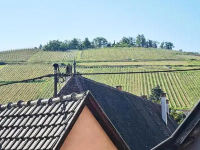 Plan de l'établissement ✪ Le Convivial ✪ Duplex Alsacien ✪ PARKING ✪ RBNB✪