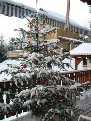 L'établissement Chalet Gérardmer situé a LE THOLY en hiver