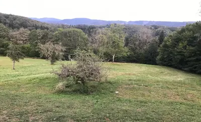 Paysage naturel près de la maison de vacances