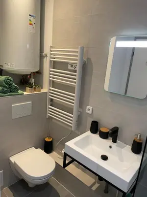Salle de bains dans l'établissement Chaleureux F2 dans l’hypercentre colmarien