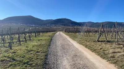 Paysage naturel près de l'appartement