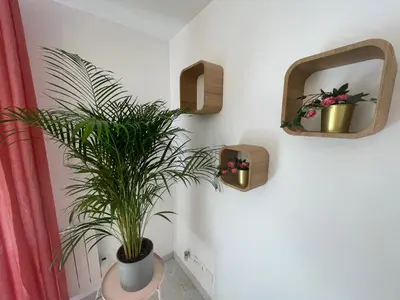 Plan de l'établissement Le Grand DOLLFUS, 90m2 de charme au coeur de ville