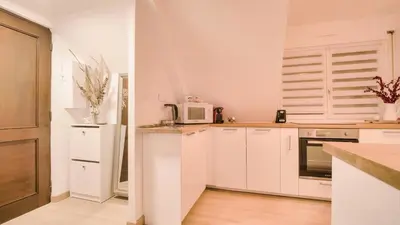 Cuisine ou kitchenette dans l'établissement Superbe appartement au coeur du Colmar