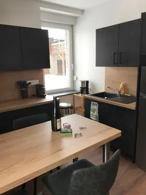 Cuisine ou kitchenette dans l'établissement Le Deux Pieces