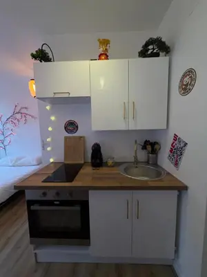 Cuisine ou kitchenette dans l'établissement Le 10 - Studio Tokyo, tout équipé Mulhouse centre - stationnement gratuit