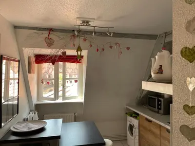 Cuisine ou kitchenette dans l'établissement Aux petits cœurs de Colmar PETITE VENISE