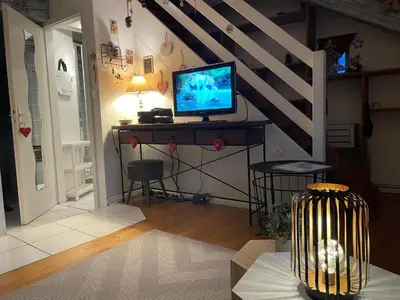 Télévision ou salle de divertissement dans l'établissement Aux petits cœurs de Colmar PETITE VENISE