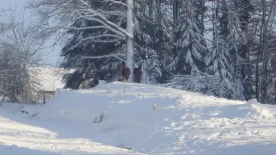 L'établissement L'ATELIER, chalet 3* en hiver