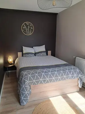 Un ou plusieurs lits dans un hébergement de l'établissement LE NATURE Centre ville 2 Chambres