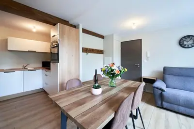 Cuisine ou kitchenette dans l'établissement L'ALSACIEN Centre Ville 2 chambres et Terrasse