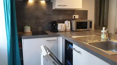 Cuisine ou kitchenette dans l'établissement Studio Cosy Bronze - Cosy & Cocon