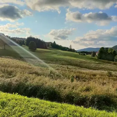 Le Cozy du Poli