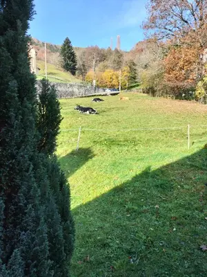 Jardin de l'établissement Chalet La Grange de Madi