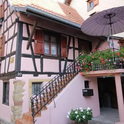 Idéal séjour Alsace ! proche Colmar et sur la route des Vins