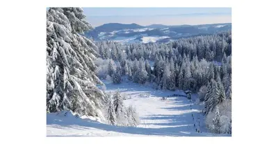 L'établissement Le bonhomme proche de Kaysersberg et du lac blanc en hiver