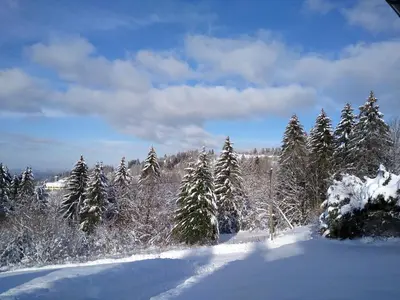 L'établissement Chalet neuf avec jacuzzi privé, vue imprenable sur Massif des Vosges en hiver