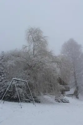L'établissement appartement mitoyen dans chalet en hiver