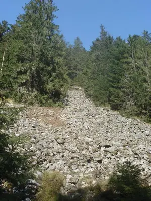 Paysage naturel près de l'appartement