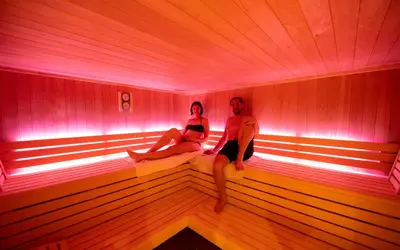 Clients de l'établissement Gîte 5* piscine intérieure, sauna, à 20 mins des pistes de ski, à 300 m d’un Lac